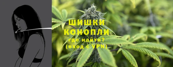 СК Аркадак