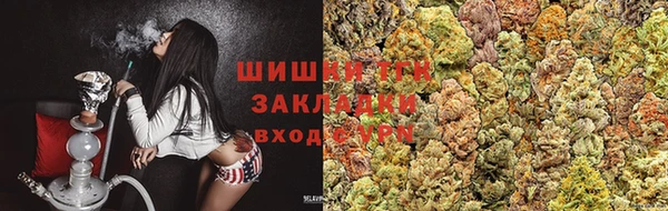 СК Аркадак