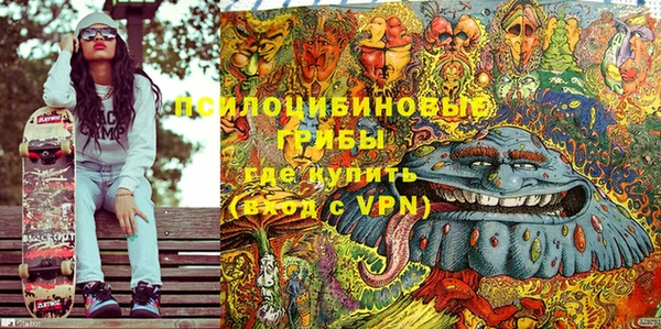 СК Аркадак