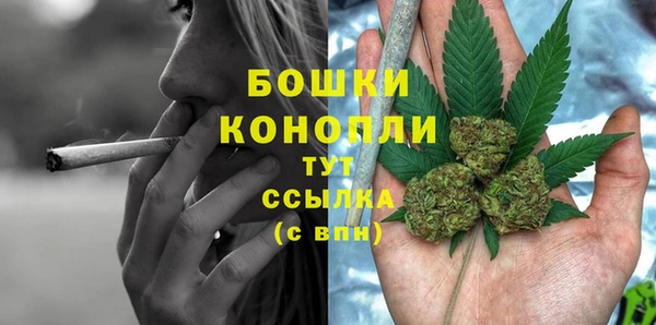 ГАЛЛЮЦИНОГЕННЫЕ ГРИБЫ Арсеньев