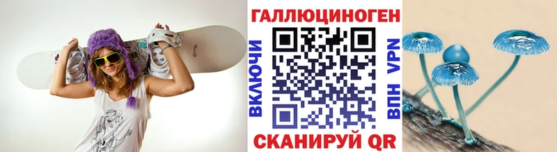 Галлюциногенные грибы Psilocybine cubensis  наркотики  Карабаш 